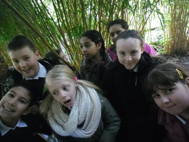 year 6 botanical gardens 013