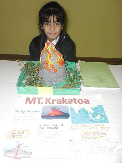 Volcano science fair 016