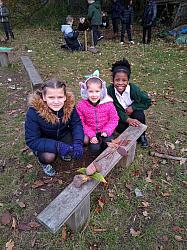 Forest Schools